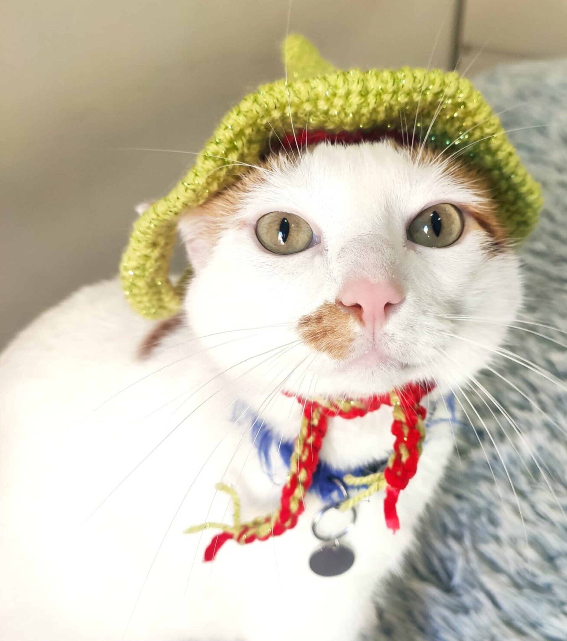 Gorros para peludos, gatos o perros. Encargos Personalizados.Mascotas - 3