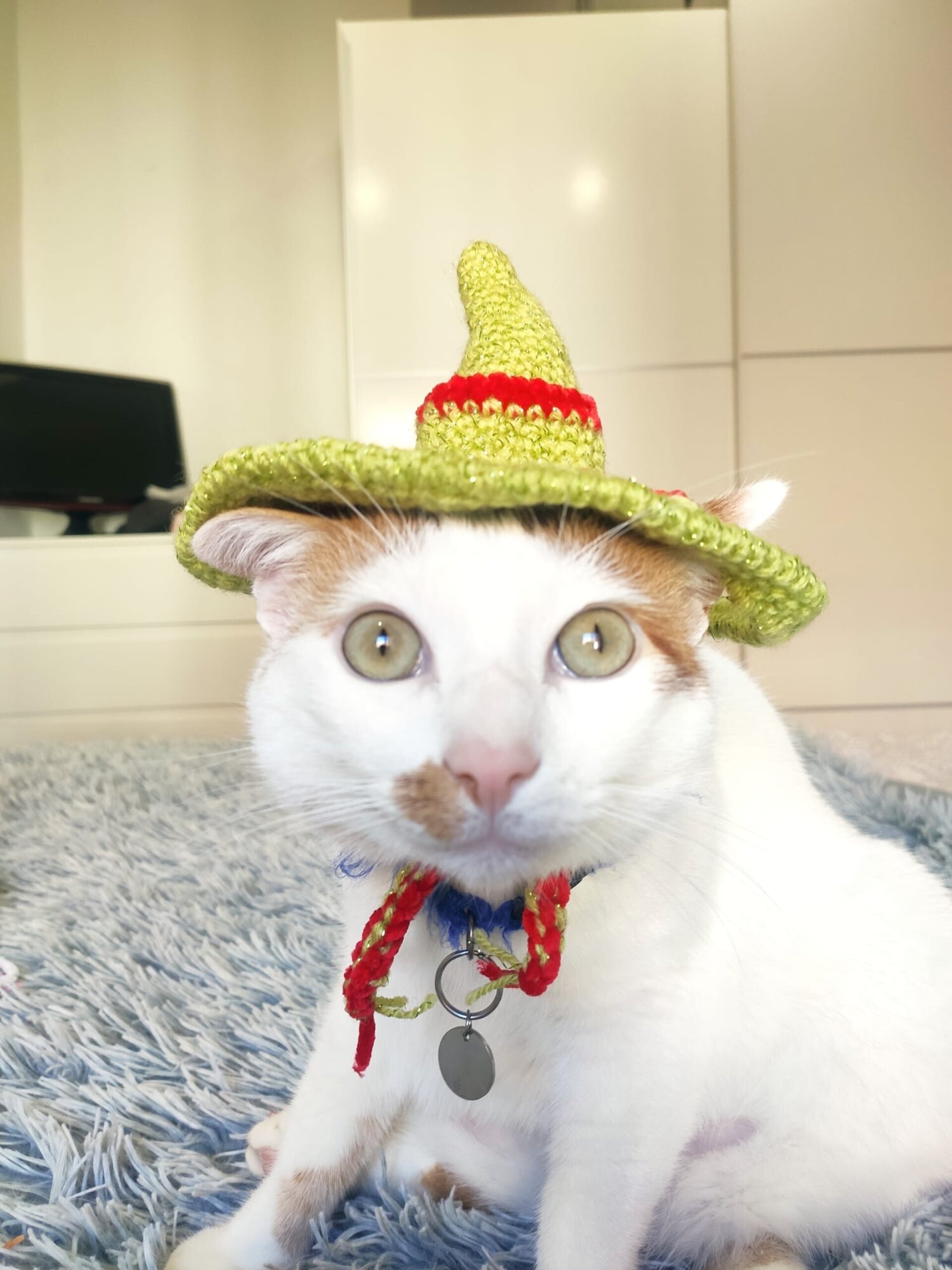 Gorros para peludos, gatos o perros. Encargos Personalizados.Mascotas - 2